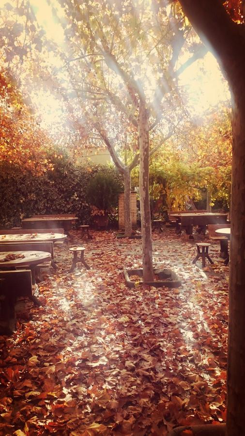 Aparthotel Tres Caminos El Grado Bagian luar foto